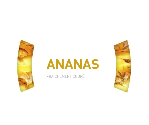 ANANAS (X25)