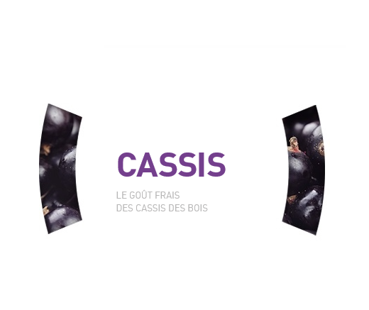 CASSIS (X25)