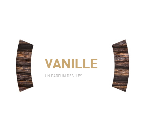 VANILLE (X25)