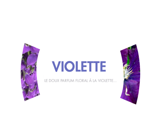 VIOLETTE (X25)